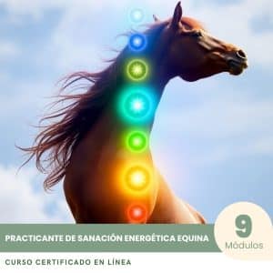 Practicante de Sanación Energética Equina - Curso Certificado