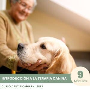 Introducción a la Terapia Canina - Curso Certificado