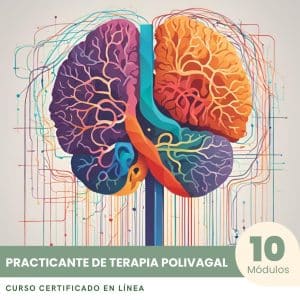 Practicante de Terapia Polivagal - Curso Certificado